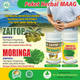 Illustration for article titled Obat Maag Untuk Anak 7 Tahunem/em